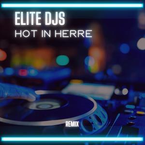 Hot In Herre (Remix)