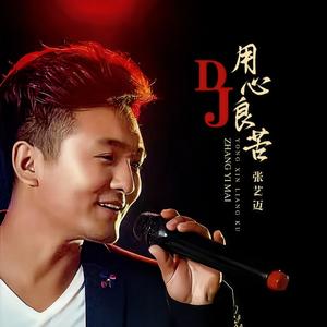 用心良苦 (DJ默涵版)