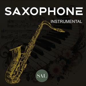 Saxophone Shadows