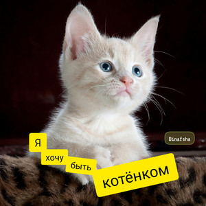 Я хочу быть котёнком