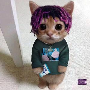 "Relaxing"水星记忆 Lil uzi vert hyperpop Type beat