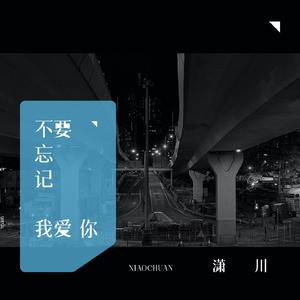 不要忘记我爱你 (伴奏)