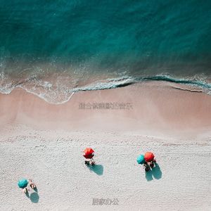 适合专注时髦的音乐