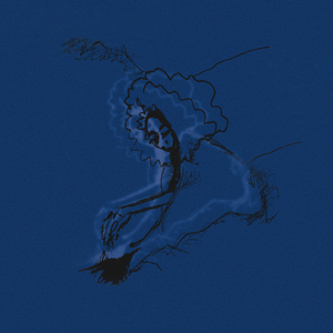 Polar Bear Standing And Ready