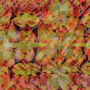 Swimming with Dolphins