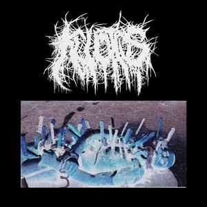 Digestive System Overdrive