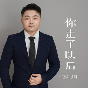 你走了以后