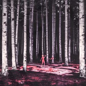 Sonsuzluğa Yolculuk