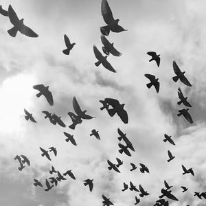 不懂爱的白羊座