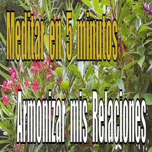Meditar en 5 Minutos. Armonizar Mis Relaciones.