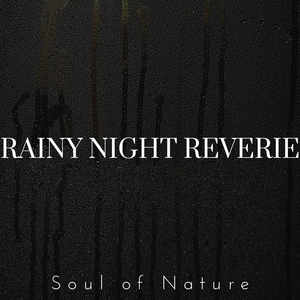 Midnight Shower Serenity