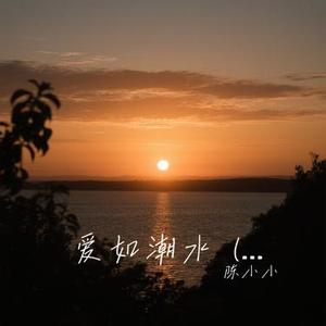 爱如潮水  (温柔女版) (Cover 田园)