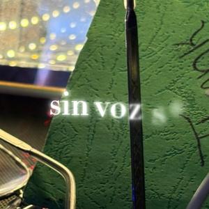 Sin Vozs