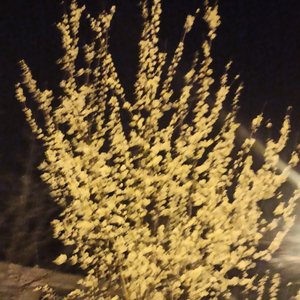 04:44