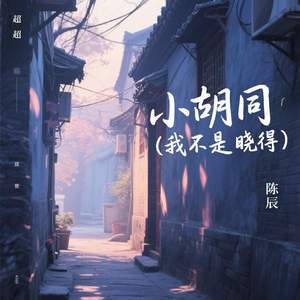 小胡同 (我不是不晓得)