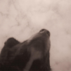 Forever In These Arms