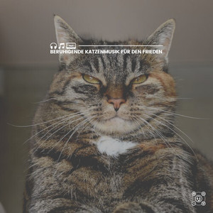 Musik für Ihren besten Freund