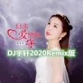 长长的爱慢慢地守 (DJ宇轩2020Remix水兵舞版)