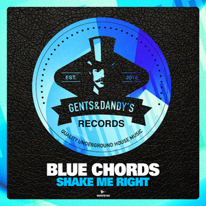 I Don't Wanna Give Up (Original Mix)