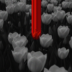 MINEFIELD