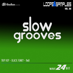 Miscellaneous - Grooves Loops (M1Grooves Loops)