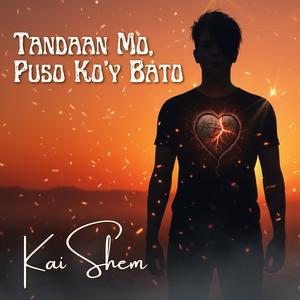 Tandaan Mo, Puso Ko'y Bato