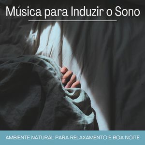 Música para Induzir o Sono
