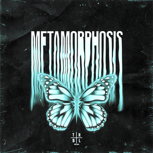 METAMORPHOSIS (Cover)