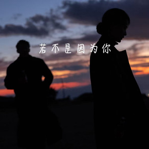 若不是因为你(风雨里)