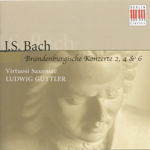Brandenburg Concerto No. 6 in B-Flat Major, BWV 1051: II. Adagio ma non tanto