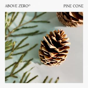 Pine Cone