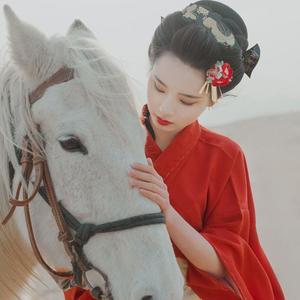 你如白马踏京城（翻自 楚新）