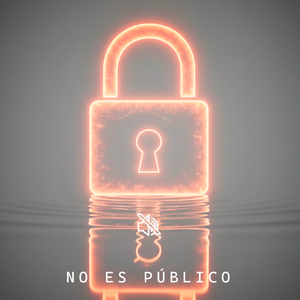 No Es Público