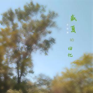 盛夏的回忆