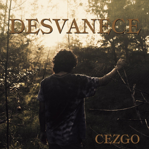 Desvanece