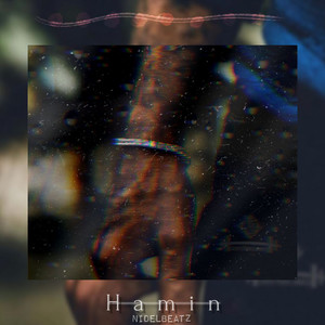 Hamin