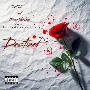 Destined (feat. Miss Yourdeler)