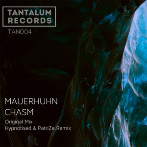 Chasm (Hypnotised & PatriZe Remix)