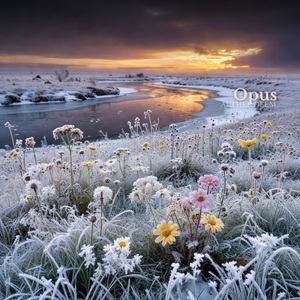 Opus