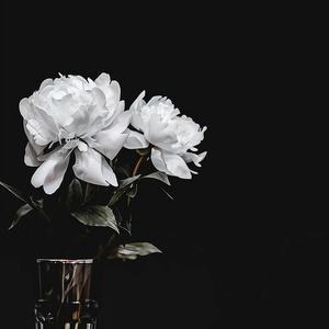 给你(李健演唱会Live)_马也