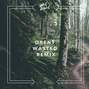 Wasted (Wet Level Remix)