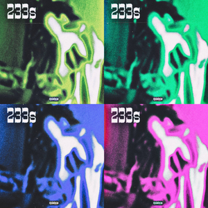 233s