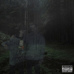 Сторонник мрака