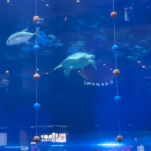 头文字D的虫洞（prod.DIVINE MUSIC)