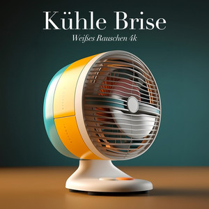 Windspirale (Der gleichmäßige Boxventilator)