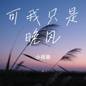可我只是晚风