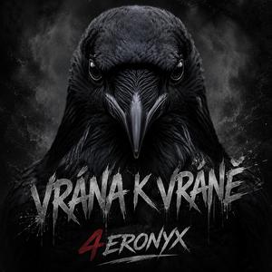 Vrána k vráně