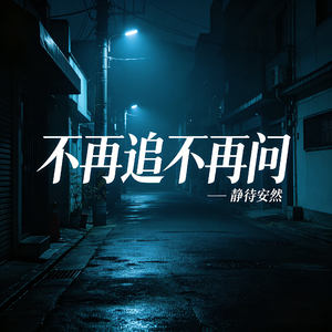 不再追不再问