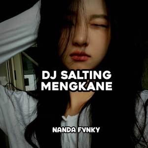 Dj Salting Mengkane