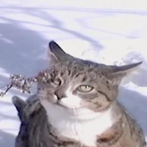 when you find yourself in a memory